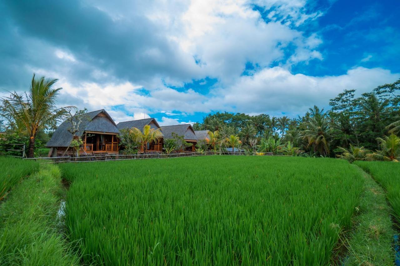 Pb Pondok Gandalangu Garden House Bali Убуд Екстер'єр фото